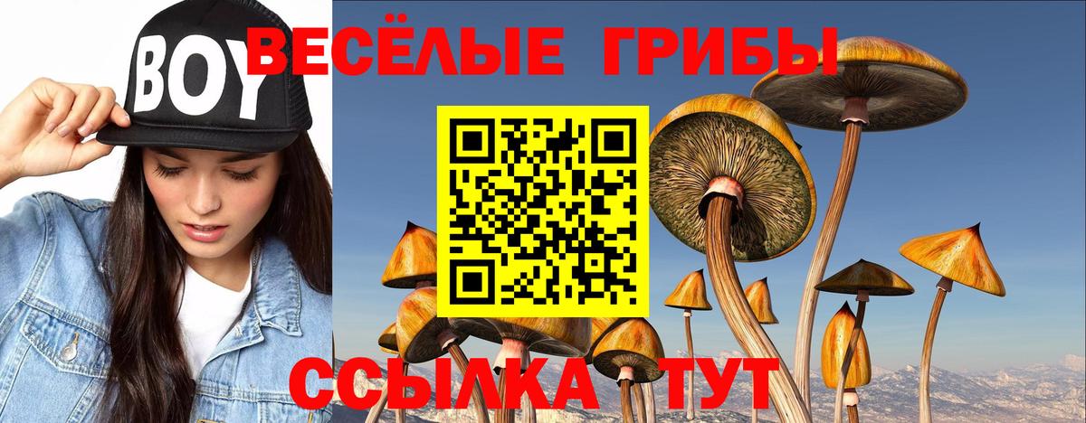 Псилоцибиновые грибы Cubensis  Вход с VPN  Артём  Псилоцибиновые грибы мухоморы 