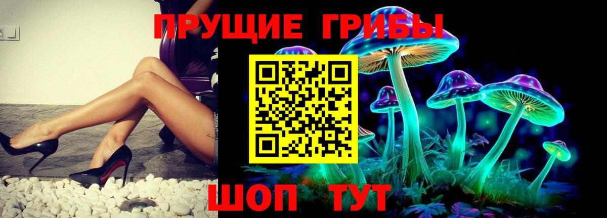 Галлюциногенные грибы Cubensis Артём